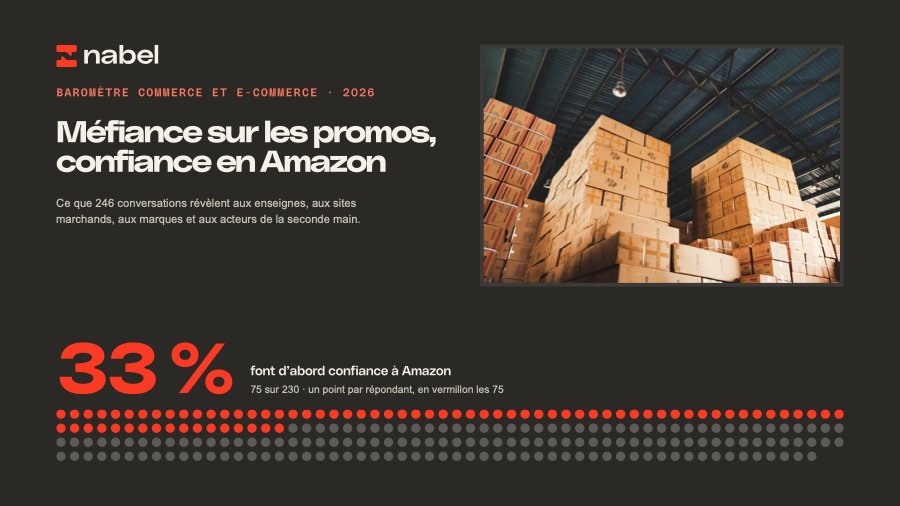 The report, 30 pages, in French