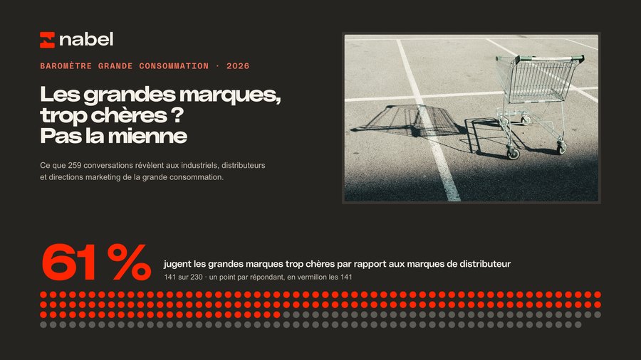 The report, 30 pages, in French