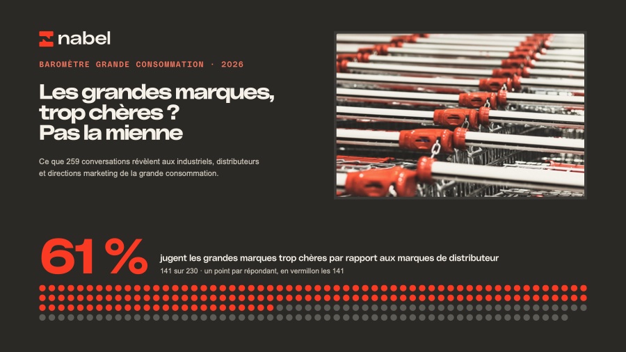The report, 30 pages, in French